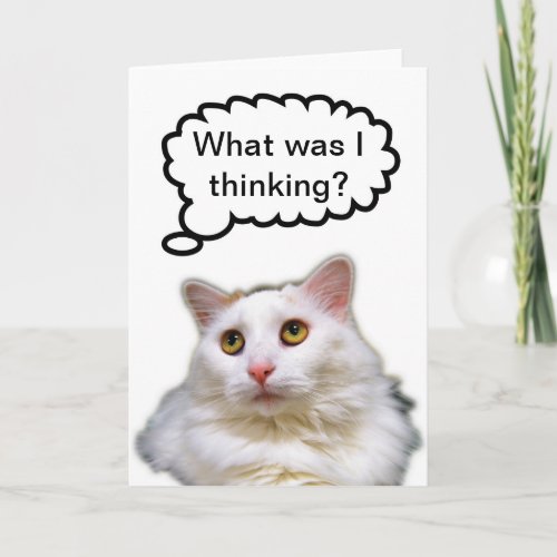 White Cat Belated Birthday Humor Card