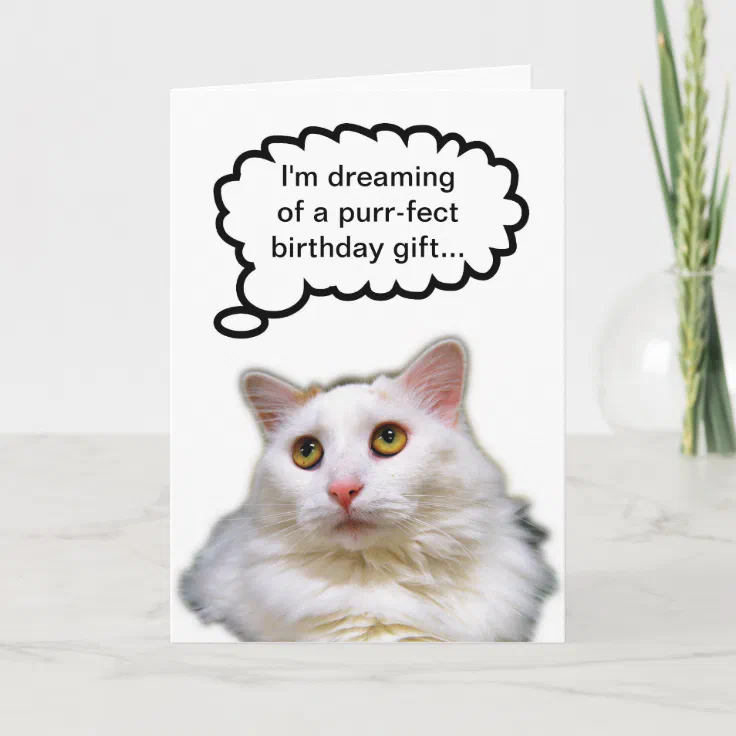 White Cat Birthday Humor Card | Zazzle