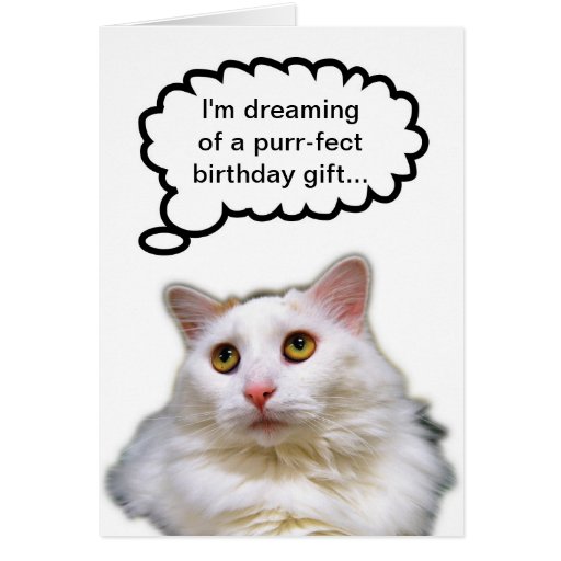 White Cat Birthday Humor Greeting Card | Zazzle