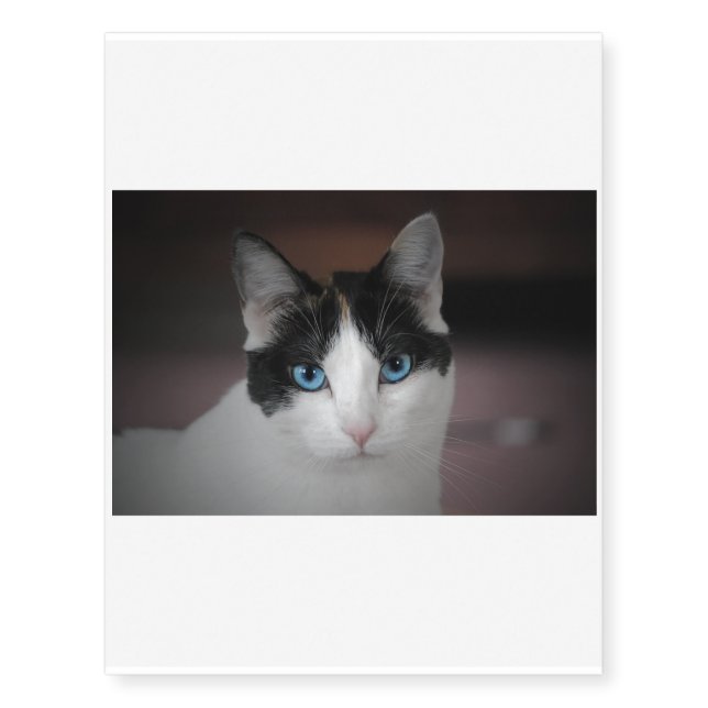 White Cat - black head - blue eyes - for you Temporary Tattoos (Front)
