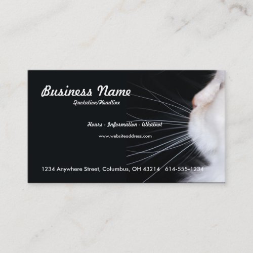 White Cat Business Card