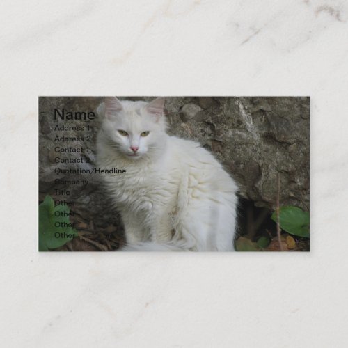 White Cat Business Card