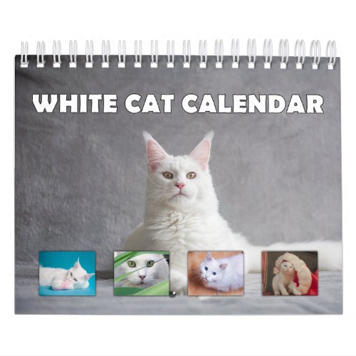 White Cat Calendar