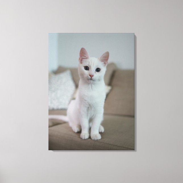 White cat canvas print (Front)