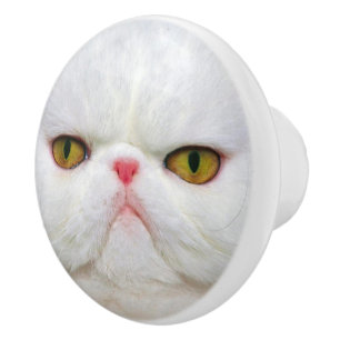 White Cat Ceramic Knob