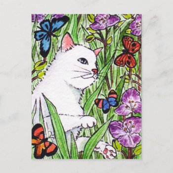 White Cat Chasing Butterflies Amongst Flowers Postcard by JellyRollDesigns at Zazzle