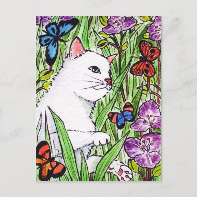 White cat chasing butterflies amongst flowers postcard (Front)
