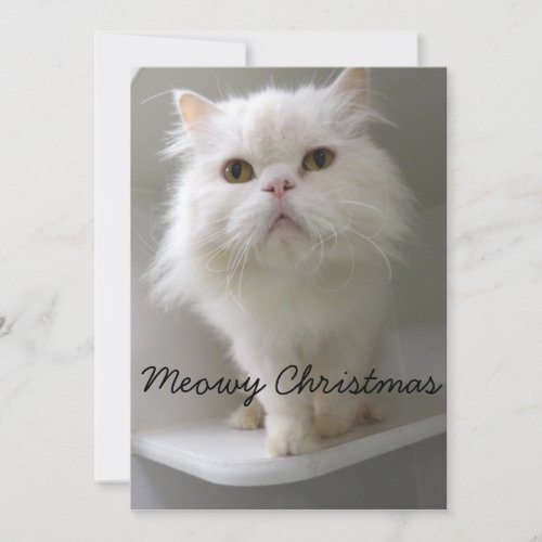 White cat Christmas Card