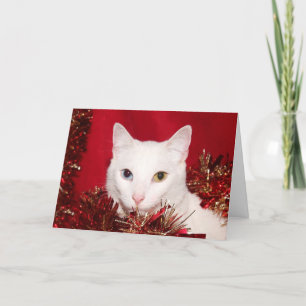 White cat Christmas Holiday Card