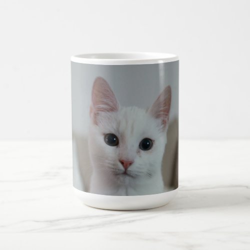 White cat coffee mug