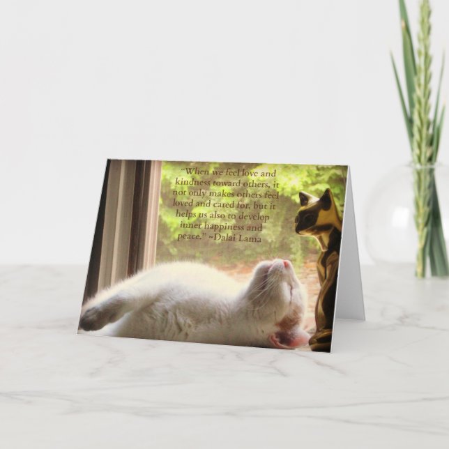 White Cat & Dalai Lama Kindness Quote Card (Front)