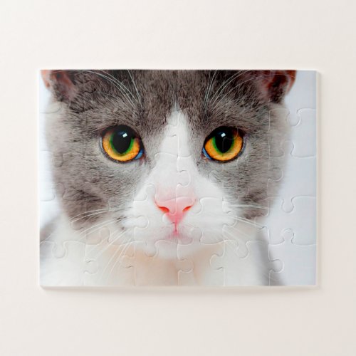 White Cat Face Easy Cat Jigsaw Puzzle