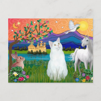 White Cat - Fantasy Land Postcard