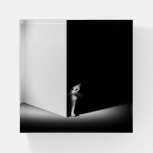 White Cat In Black Shadows Paperweight