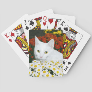 White cat in fall flowers poker cards