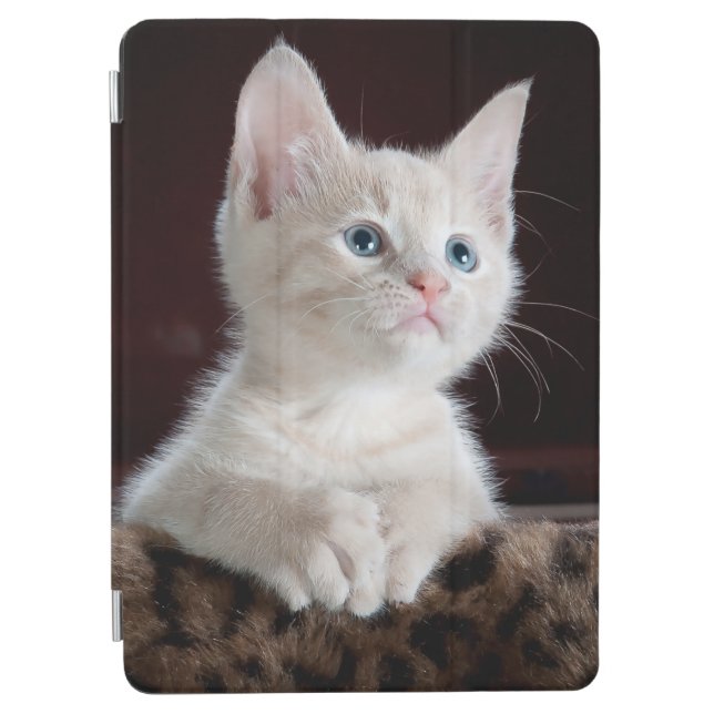 White Cat iPad 9.7" Smart Cover (Front)