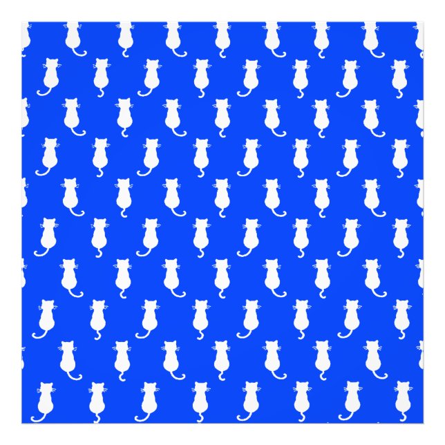 White Cat Isolated on Blue Polka Dot Pattern Photo Print (Front)