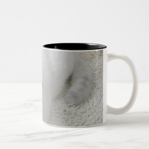 White cat looking up Two_Tone coffee mug