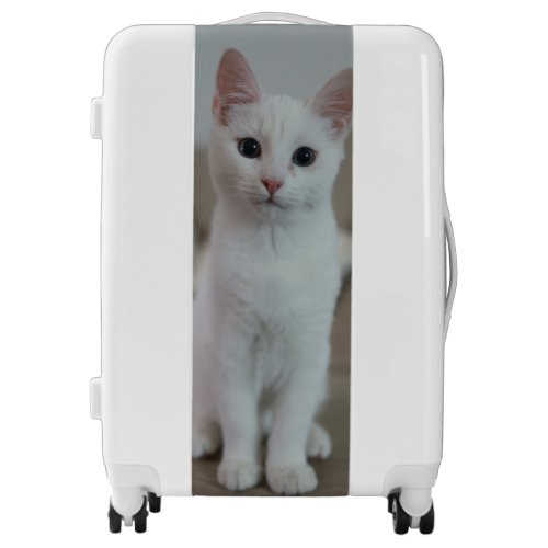 White cat luggage