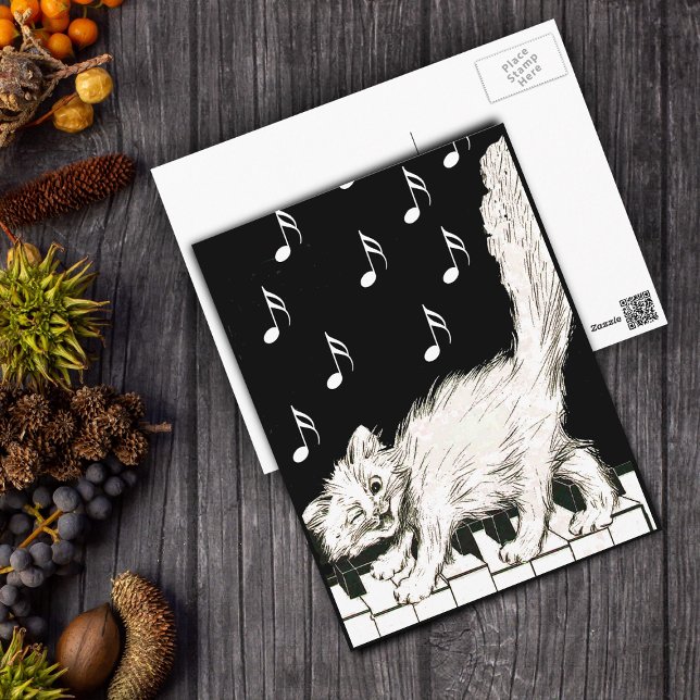 White Cat on Piano Keys Postcard (White winking cat walking on piano keys music notes on black and white post card.)