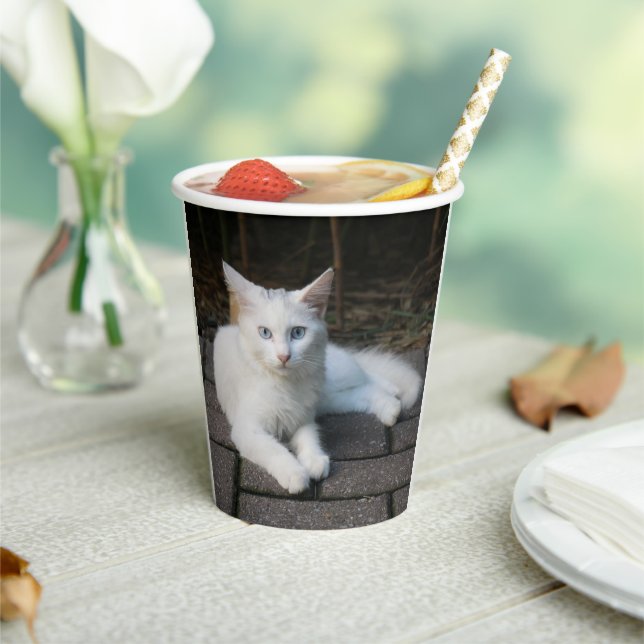 White Cat Paper Cups (Insitu)