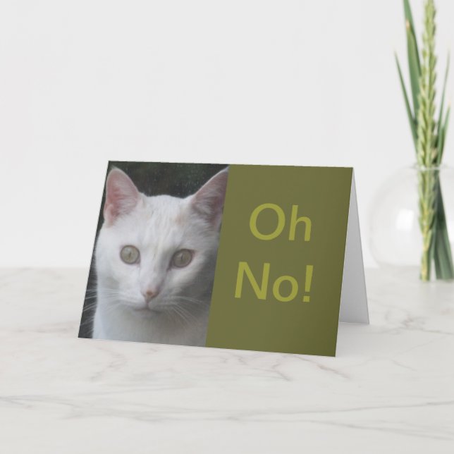 White Cat photo humorous get well card (Front)