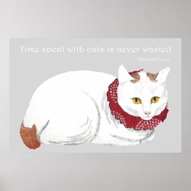 White Cat Poster Print (Front)