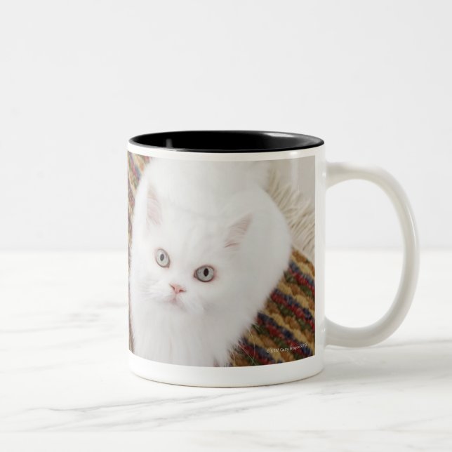 White cat sitting on mat Two-Tone coffee mug (Right)
