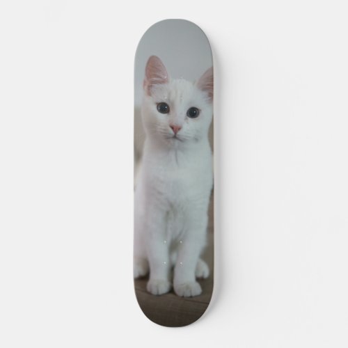 White cat skateboard