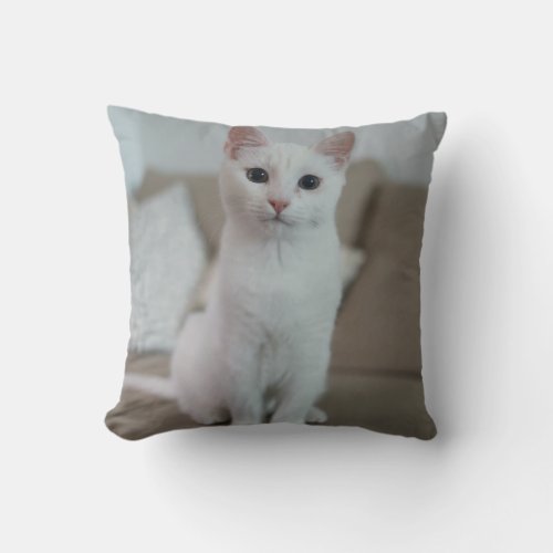 White cat throw pillow