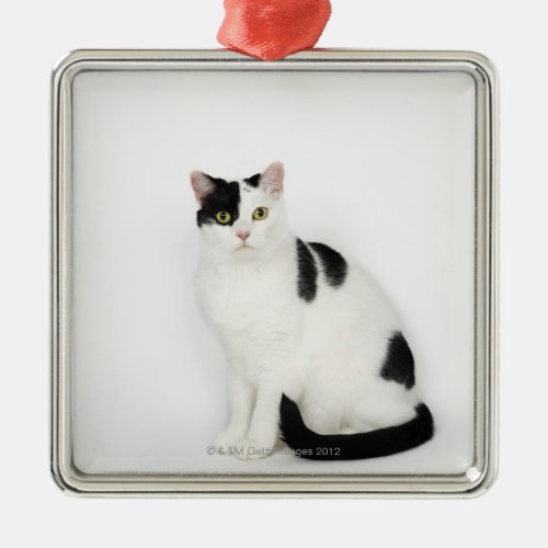White cat with black spots metal ornament