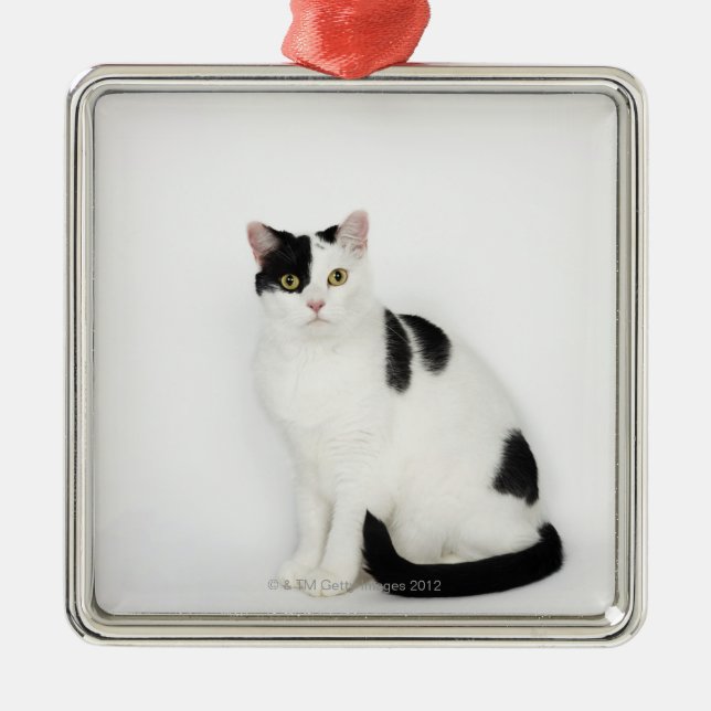 White cat with black spots metal ornament (Front)