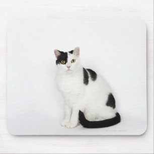 White cat with black spots mouse pad