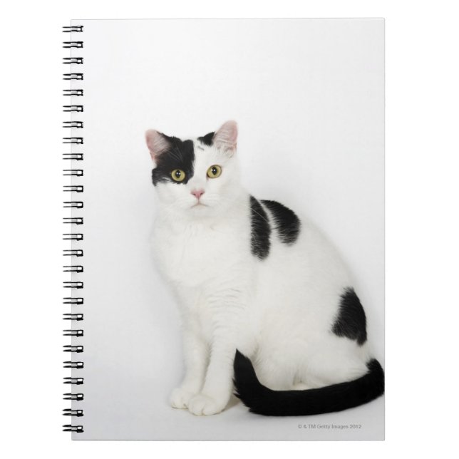 White cat with black spots notebook (Front)