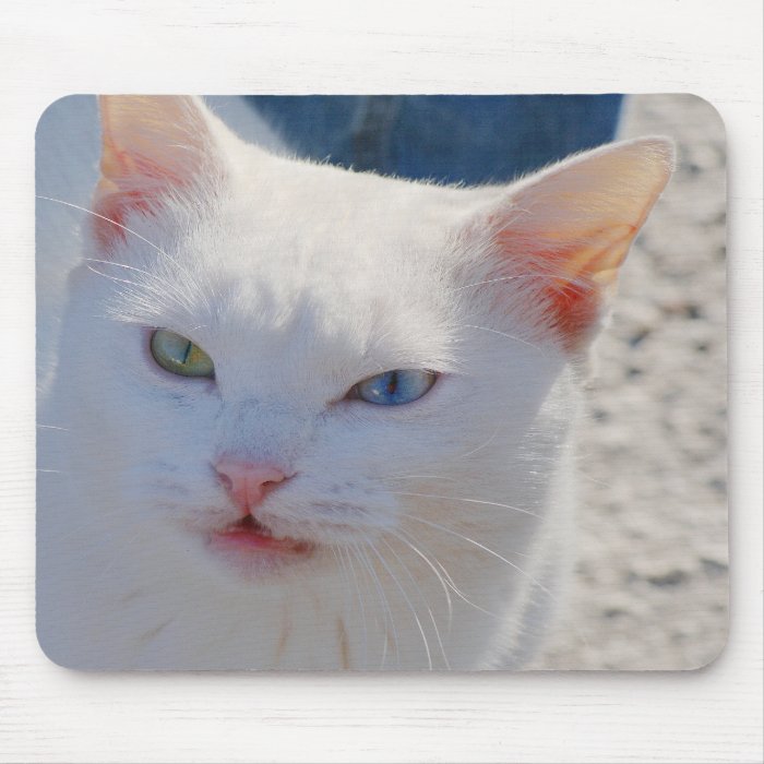White cat with blue eye and green eye mousepads