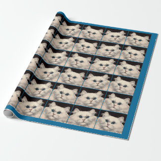 white cat with blue eyes wrapping paper