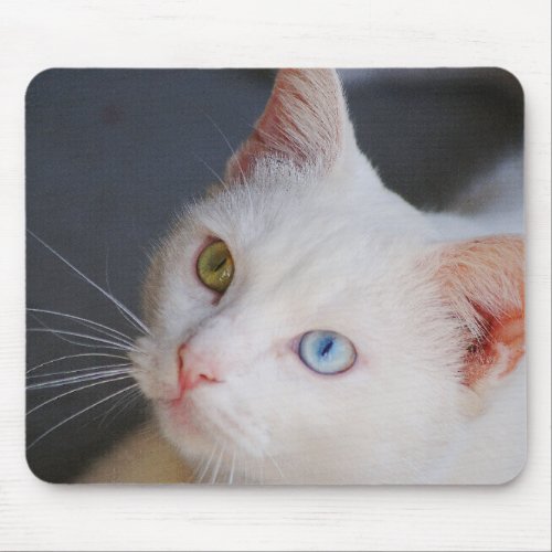 White cat with one green eye  one blue eye mouse pad