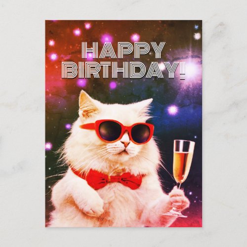 White cat with sunglasses toasting Birthday  Postcard