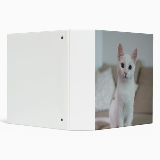White cat | Zazzle_Growshop. 3 Ring Binder (Background)