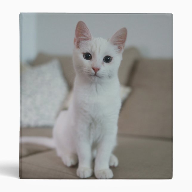 White cat | Zazzle_Growshop. 3 Ring Binder (Front)