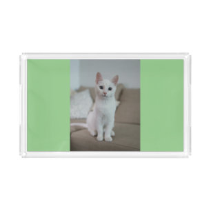 White cat   Zazzle_Growshop. Acrylic Tray