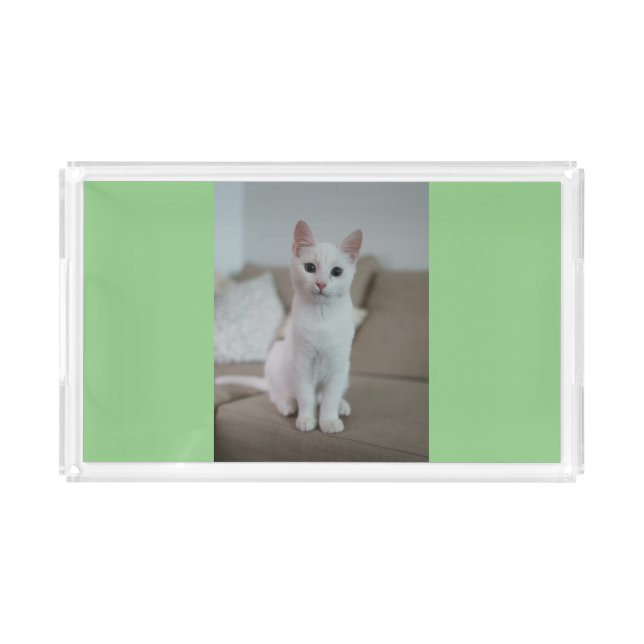 White cat | Zazzle_Growshop. Acrylic Tray (Front)
