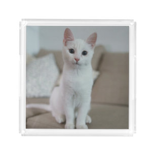 White cat Zazzle_Growshop. Acrylic Tray