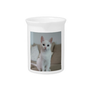 White cat   Zazzle_Growshop. Beverage Pitcher