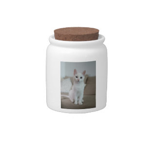 White cat Zazzle_Growshop. Candy Jar