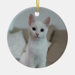 White cat   Zazzle_Growshop. Ceramic Ornament