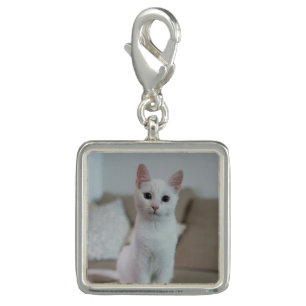 White cat   Zazzle_Growshop. Charm