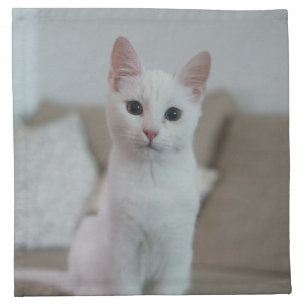 White cat   Zazzle_Growshop. Cloth Napkin