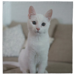 White cat   Zazzle_Growshop. Cloth Napkin