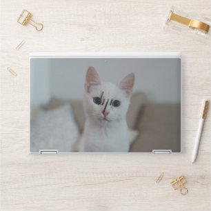 White cat   Zazzle_Growshop. HP Laptop Skin
